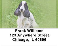 Adorable Cocker Spaniels Address Labels | LBBBA-78
