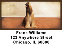 Afghan Hound Address Labels | LBBBA-79