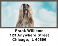Afghan Hound Address Labels | LBBBA-79
