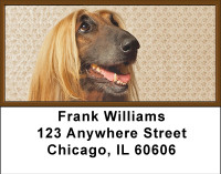 Afghan Hound Address Labels | LBBBA-79