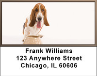 Adorable Bassets Address Labels | LBBBA-81