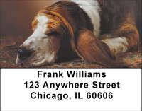 Beagle Contentment Address Labels | LBBBA-83