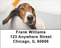 Beagle Contentment Address Labels | LBBBA-83