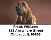 Bloodhound Portrait Address Labels | LBBBA-85