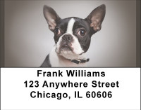 For Boston Terrier Lovers Address Labels | LBBBA-87