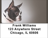 For Boston Terrier Lovers Address Labels | LBBBA-87