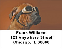 Boxer Fun Address Labels | LBBBA-88