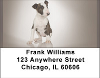 Adorable Bull Terriers Address Labels | LBBBA-89