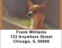 Chihuahua Mania Address Labels | LBBBA-92