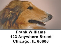 Cuddly Collie Address Labels | LBBBA-93