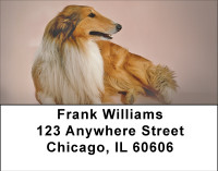 Cuddly Collie Address Labels | LBBBA-93