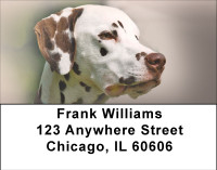 Dandy Dalmatians Address Labels | LBBBA-94
