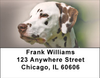 Dandy Dalmatians Address Labels | LBBBA-94