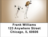 English Foxhound Address Labels | LBBBA-95