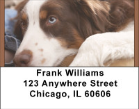 Australian Shepherd Address Labels | LBBBA-96