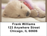 Golden Retriever Puppies Address Labels | LBBBA-97