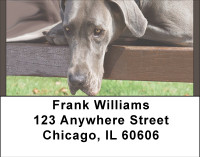 Great Danes Address Labels | LBBBA-98