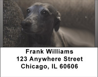 Graceful Greyhounds Address Labels | LBBBA-99