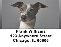 Greyhounds Address Labels | LBBBB-01