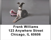 Greyhounds Address Labels | LBBBB-01
