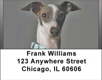Greyhounds Address Labels | LBBBB-01