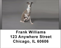 Greyhounds Address Labels | LBBBB-01