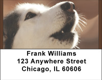 Huskie Admiration Address Labels | LBBBB-02