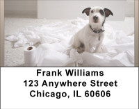 Bed Bath and WAY Beyond Address Labels | LBBBB-03