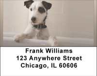 Bed Bath and WAY Beyond Address Labels | LBBBB-03