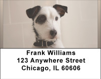 Bed Bath and WAY Beyond Address Labels | LBBBB-03