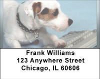 Old Dog New Tricks Address Labels | LBBBB-05