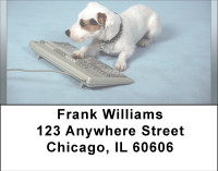 Old Dog New Tricks Address Labels | LBBBB-05