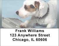 Old Dog New Tricks Address Labels | LBBBB-05