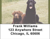 Labrador Buddies Address Labels | LBBBB-06
