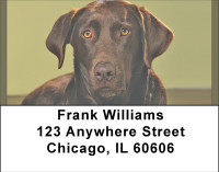 Chocolate Lab Alert Address Labels | LBBBB-08