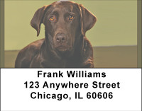 Chocolate Lab Alert Address Labels | LBBBB-08