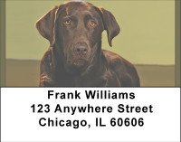 Chocolate Lab Alert Address Labels | LBBBB-08