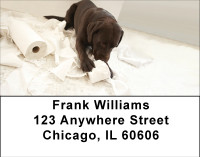 Takin Care Of Business Address Labels | LBBBB-09