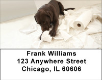 Takin Care Of Business Address Labels | LBBBB-09