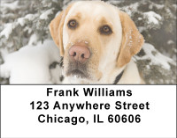 Labs For All Seasons Address Labels | LBBBB-11