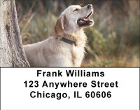 Labs For All Seasons Address Labels | LBBBB-11