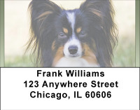 Pampered Papillon Address Labels | LBBBB-16
