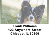 Pampered Papillon Address Labels | LBBBB-16