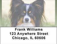 Pampered Papillon Address Labels | LBBBB-16