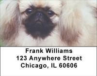 Perky Pekingese Address Labels | LBBBB-17