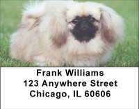 Perky Pekingese Address Labels | LBBBB-17