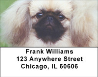 Perky Pekingese Address Labels | LBBBB-17