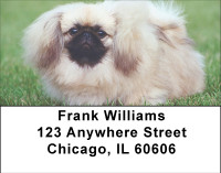Perky Pekingese Address Labels | LBBBB-17