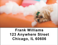 Pekingese Fun Address Labels | LBBBB-18