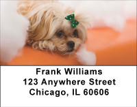 Pekingese Fun Address Labels | LBBBB-18